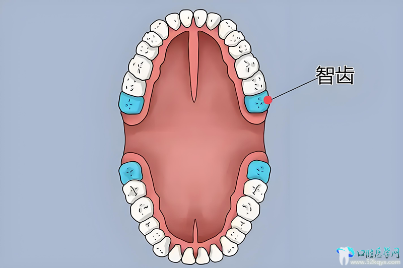微信图片_20250611111353_副本.png