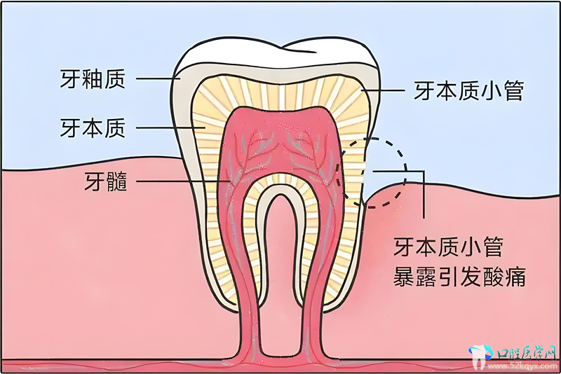 微信图片_20250624144704_副本.png