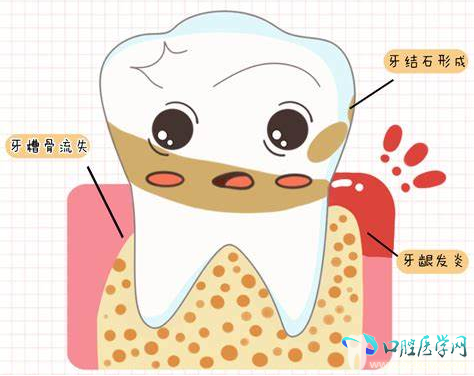 微信图片_20250729170713.png